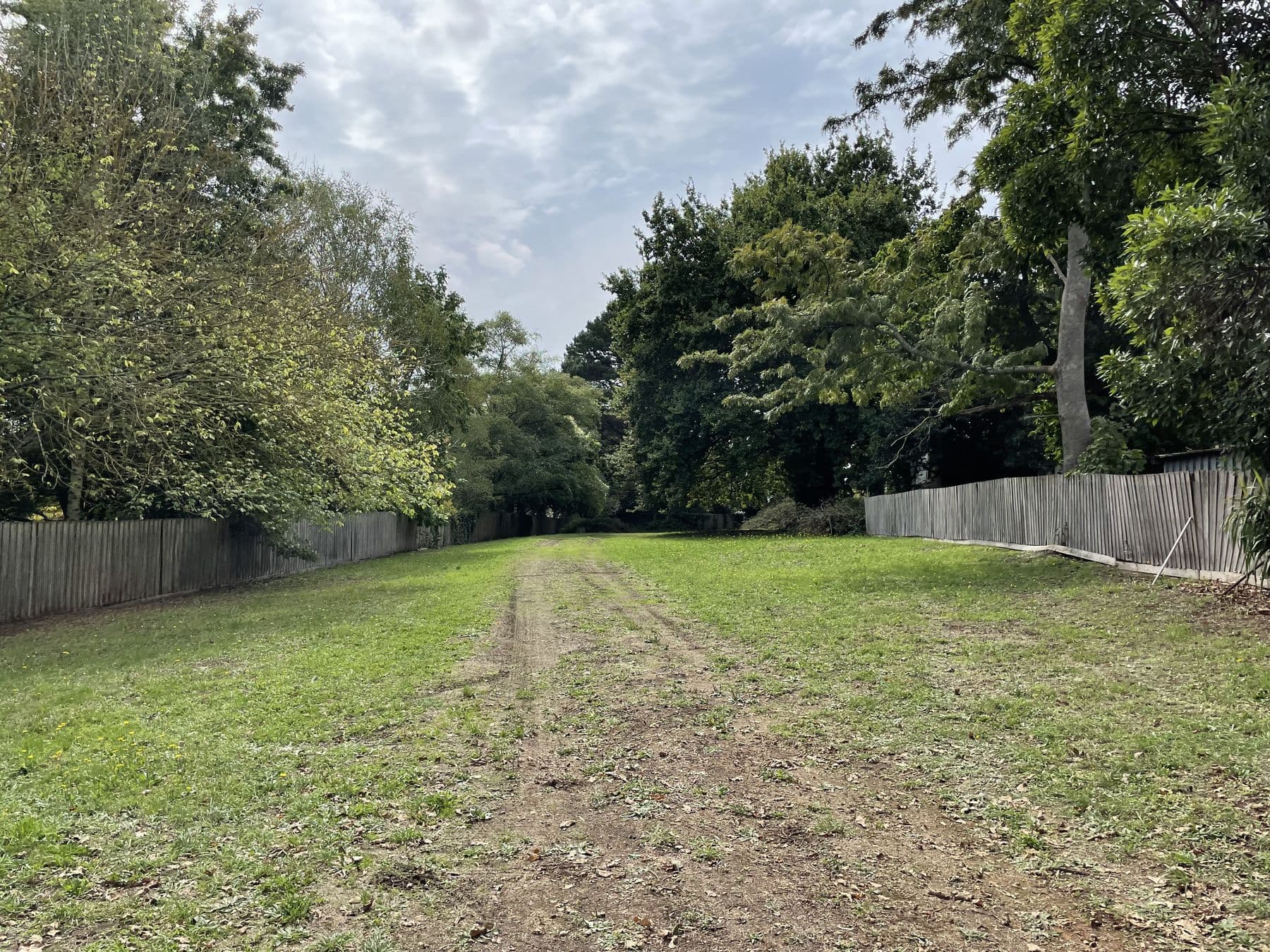 A grassed vacant block running back between two grey timber paling fences, under tall garden trees